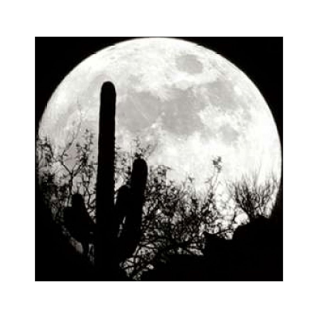 Moonrise in May I Canvas Art - Douglas Taylor (24 x 24)