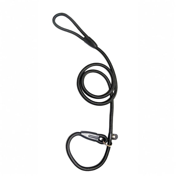 Moonsky Heavy Duty No-pull Pet Slip Lead Leash Adjustable Training Rope 0.24in Nylon Dog Leash for Outdoor Walk, Black