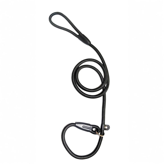 Moonsky Heavy Duty No-pull Pet Slip Lead Leash Adjustable Training Rope 0.24in Nylon Dog Leash for Outdoor Walk, Black