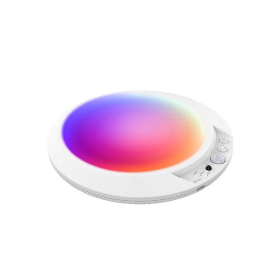 Moonsky Motion Sensor Ceiling Light, Wireless Battery Operated LED Lamp for Hallway and Closet, Smart Entrance Night Light for Home, A