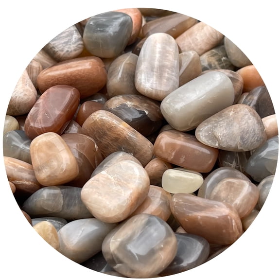Moonstone Multi Tumbled Stones, Polished Natural Moonstone Multi Gemstone, Moonstone Multi Healing Crystals (Moonstone Multi, 5 Pound)