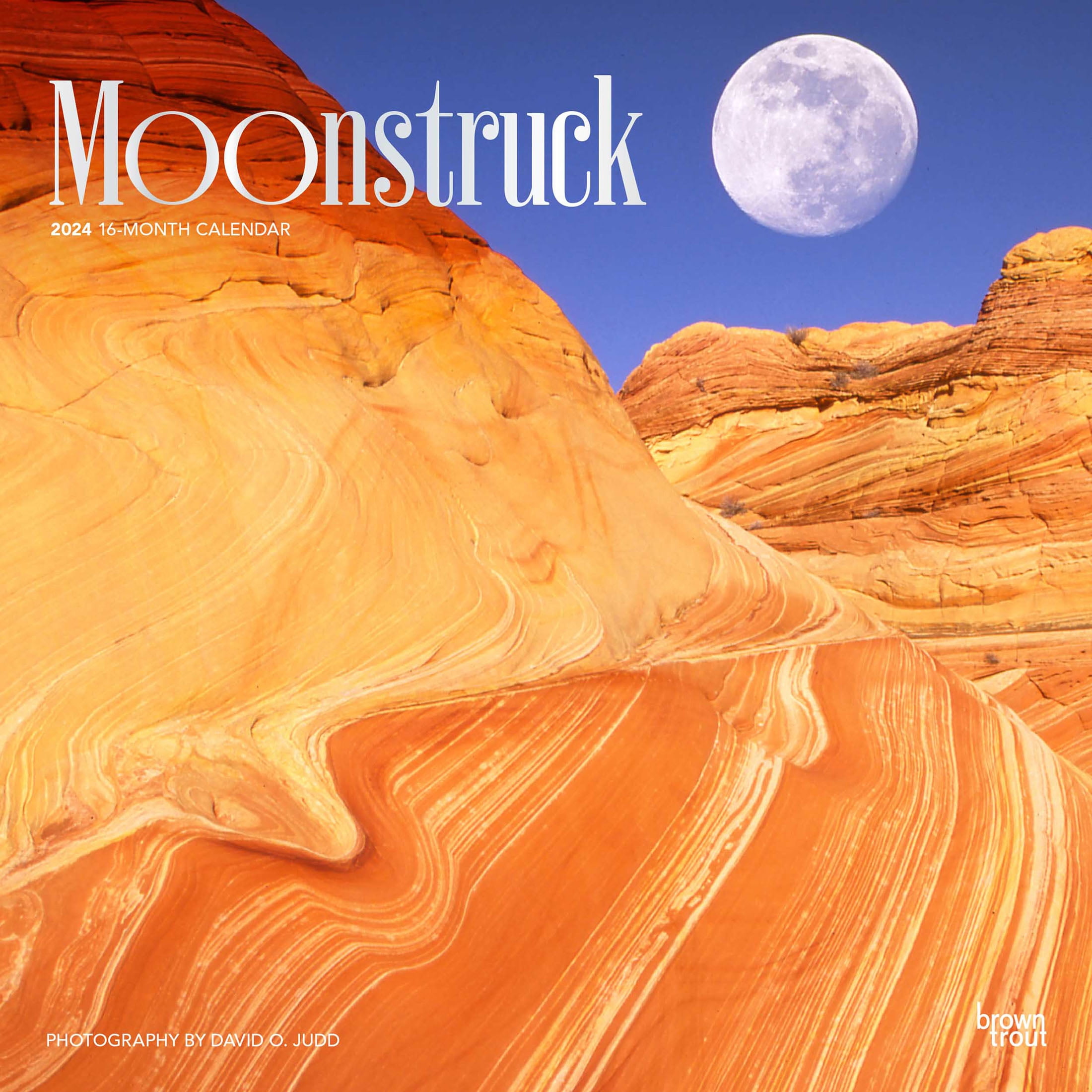 Moonstruck 2024 12x24" (Hanging) Square Wall Calendar BrownTrout