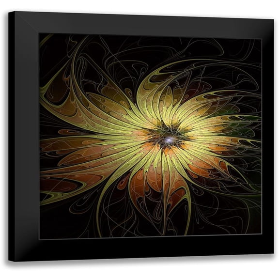 Moore, Amanda 12x12 Black Modern Framed Museum Art Print Titled - Bright Flower