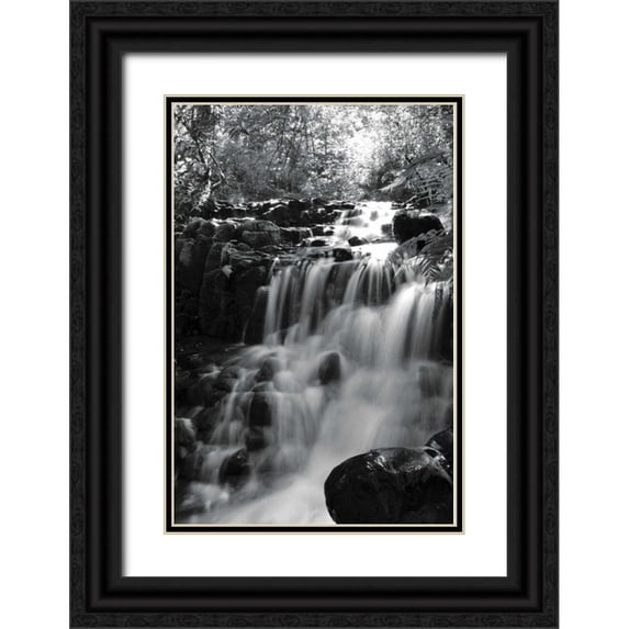 Moore, Brian 13x18 Black Ornate Wood Framed with Double Matting Museum Art Print Titled - BW Falls in the Forest III