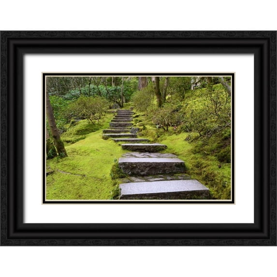 Moore, Brian 18x13 Black Ornate Wood Framed with Double Matting Museum Art Print Titled - Steps II