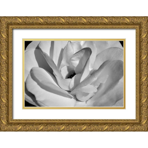Moore, Brian 18x13 Gold Ornate Wood Framed with Double Matting Museum Art Print Titled - Macro Flower I