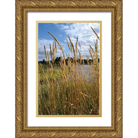 Moore, Brian 23x32 Gold Ornate Wood Framed with Double Matting Museum Art Print Titled - Through the Grass I