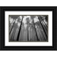 thumbnail image 1 of Moore, Brian 32x23 Black Ornate Wood Framed with Double Matting Museum Art Print Titled - Redwoods II, 1 of 4