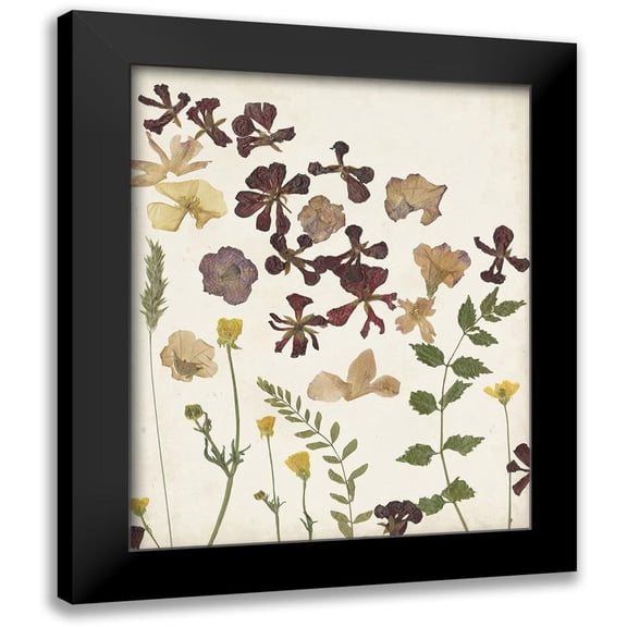 Moore, Regina 12x14 Black Modern Framed Museum Art Print Titled - Pressed Flower Arrangement III