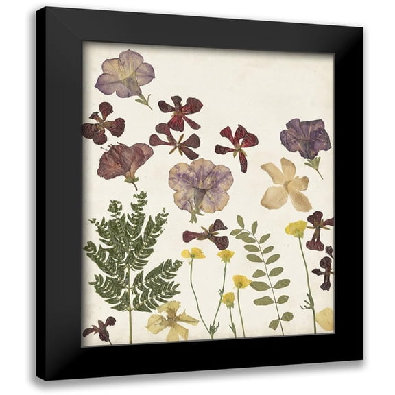 Moore, Regina 12x14 Black Modern Framed Museum Art Print Titled - Pressed Flower Arrangement IV