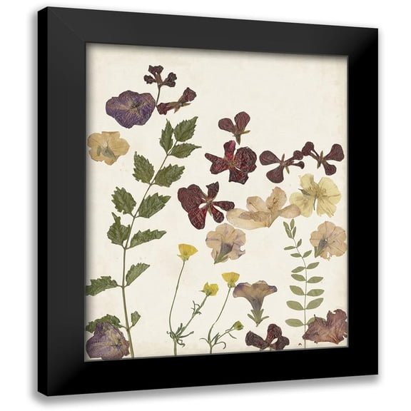 Moore, Regina 12x14 Black Modern Framed Museum Art Print Titled - Pressed Flower Arrangement V