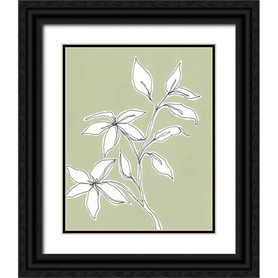 Moore, Regina 12x14 Black Ornate Wood Framed with Double Matting Museum Art Print Titled - Botanic Drawing I