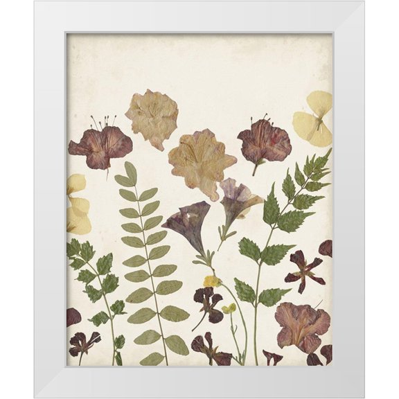 Moore, Regina 12x14 White Modern Wood Framed Museum Art Print Titled - Pressed Flower Arrangement II