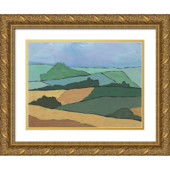 Moore, Regina 18x15 Gold Ornate Wood Framed with Double Matting Museum Art Print Titled - Blocked Topography I