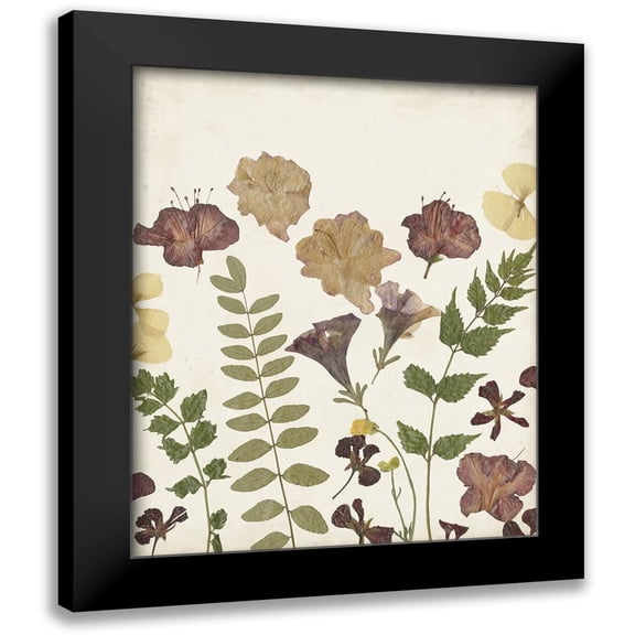 Moore, Regina 20x24 Black Modern Framed Museum Art Print Titled - Pressed Flower Arrangement II
