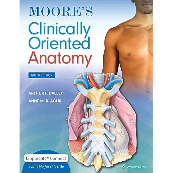 Pre-Owned Moore's Clinically Oriented Anatomy (Paperback) by Arthur F Dalley II, Anne M R Agur