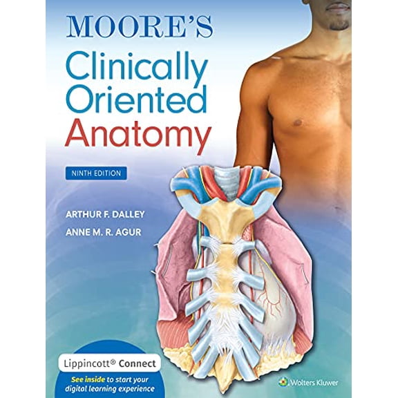 Pre-Owned Moore's Clinically Oriented Anatomy