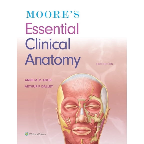Pre-Owned Moore's Essential Clinical Anatomy (Paperback)