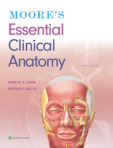 Pre-Owned Moore's Essential Clinical Anatomy - Walmart.com