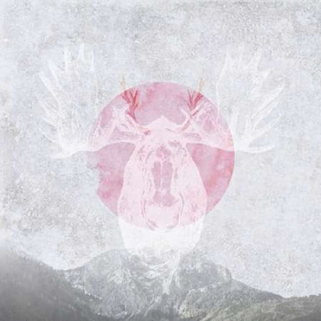 Moose 1 Canvas Art - Louis Duncan-He (24 x 24)