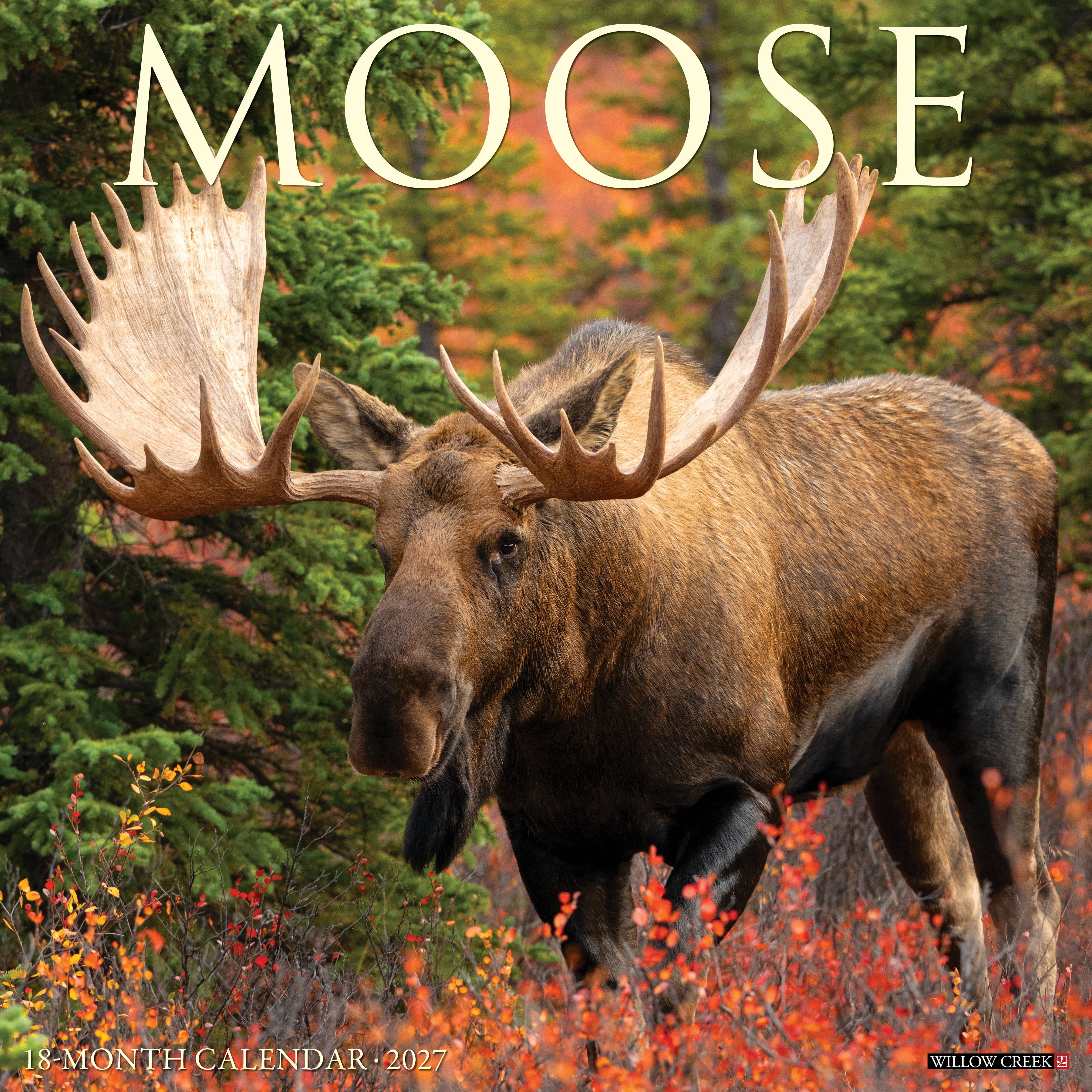 Willow Creek Press, Moose 2027 Wall Calendar