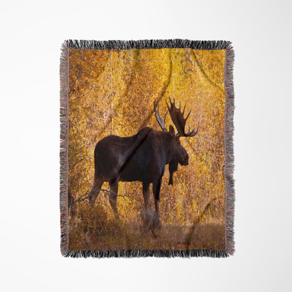 Moose Bull In Golden Willows., Woven Blanket