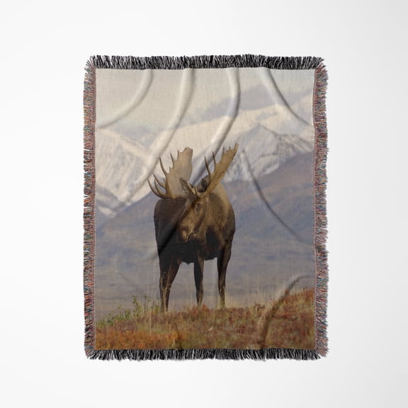 Moose Bull Wildlife, Denali National Park, Alaska - Us02 Ska3065 - Steve Kazlowski, Woven Blanket