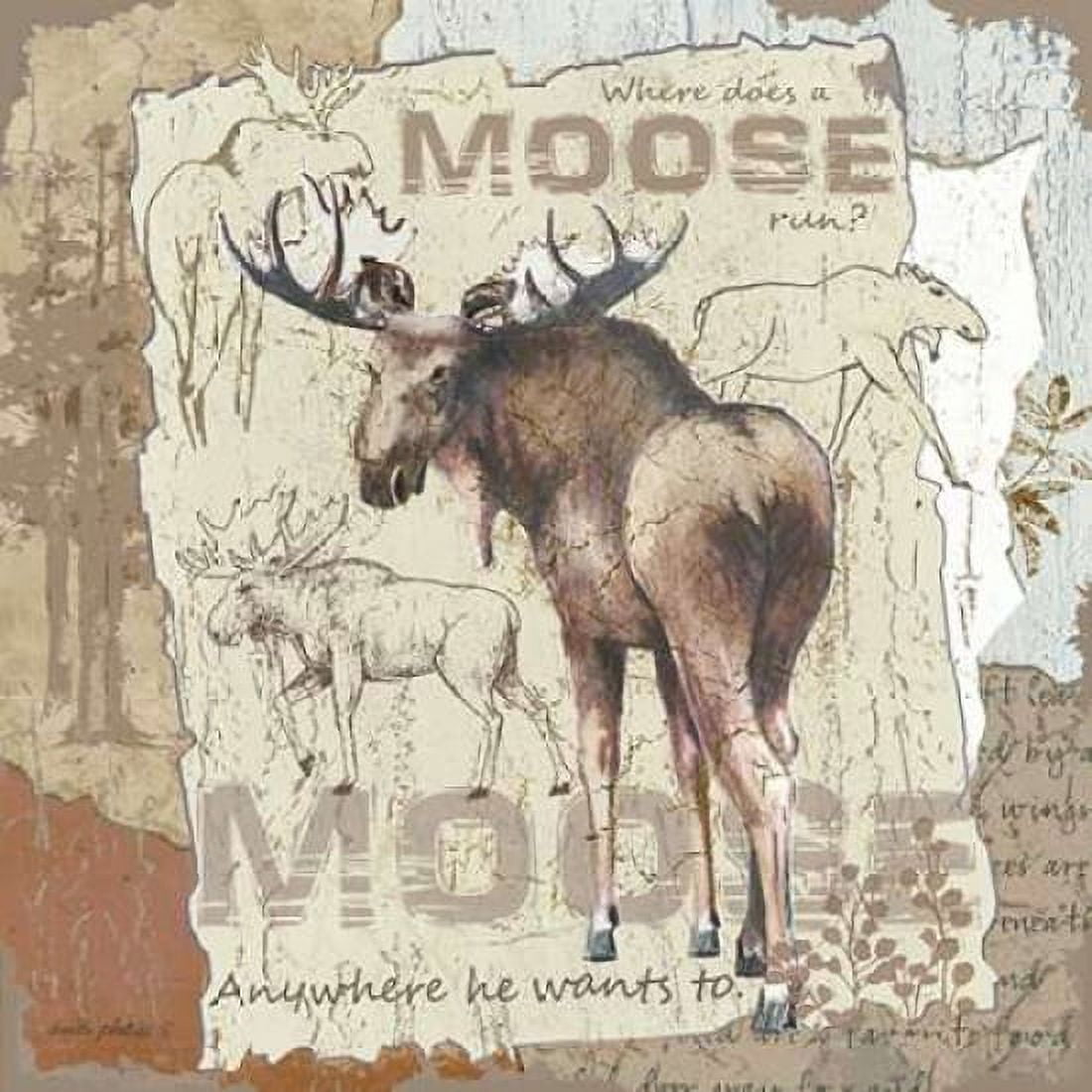Moose Canvas Art - Anita Phillips (24 x 24)