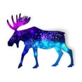 thumbnail image 1 of Moose Celestial Northern Lights - 5" Magnet for Car Locker Refrigerator, 1 of 1