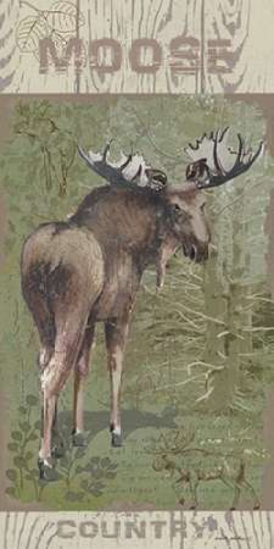 Moose Country Canvas Art - Anita Phillips (24 x 48)