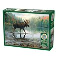 thumbnail image 1 of Moose Crossing, 1 of 1