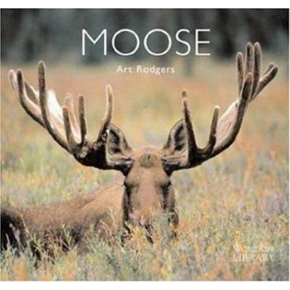Pre-Owned Moose (Paperback) 0896585212 9780896585218
