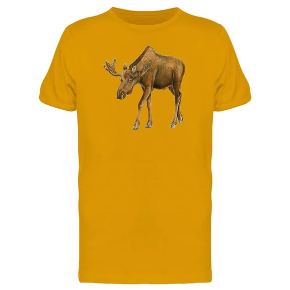 Moose Photo Ts Tee Men's -Image by Shutterstock