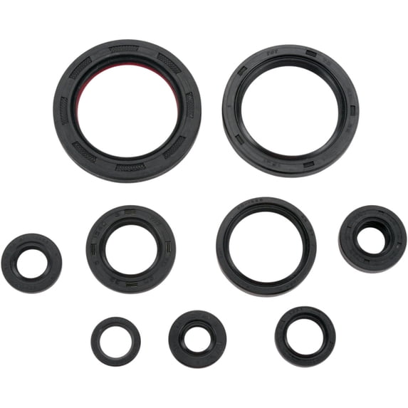 Moose Racing Complete Engine Oil Seal Kit (822248MSE)