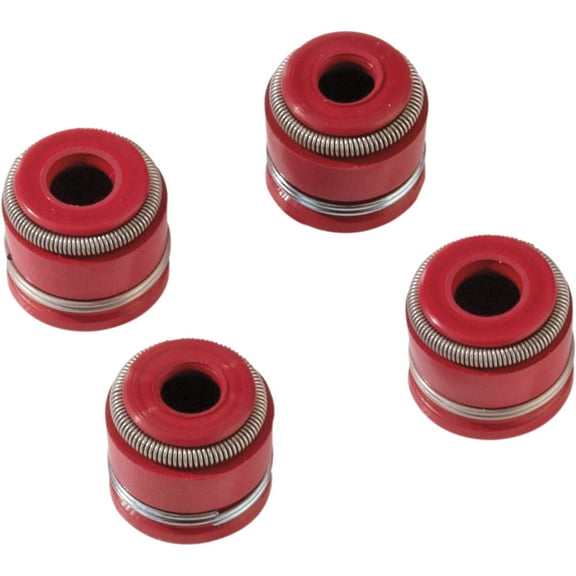 Moose Racing Intake/Exhaust Valve Stem Seal Kit (M30-31410)