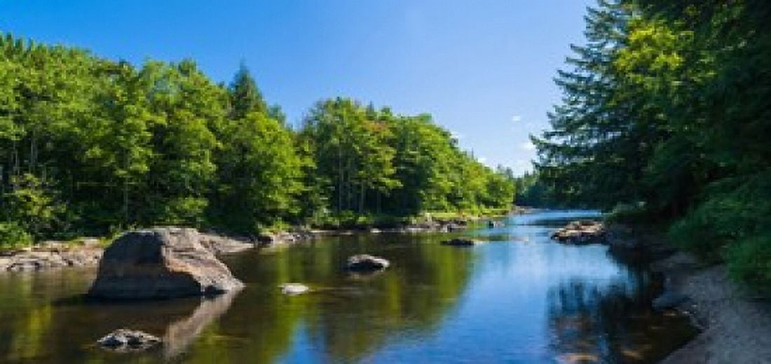 Moose River in the Adirondack Mountains New York State USA Canvas Art - Panoramic Images (24 x 12)