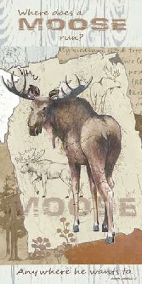 Moose Run Canvas Art - Anita Phillips (24 x 48)