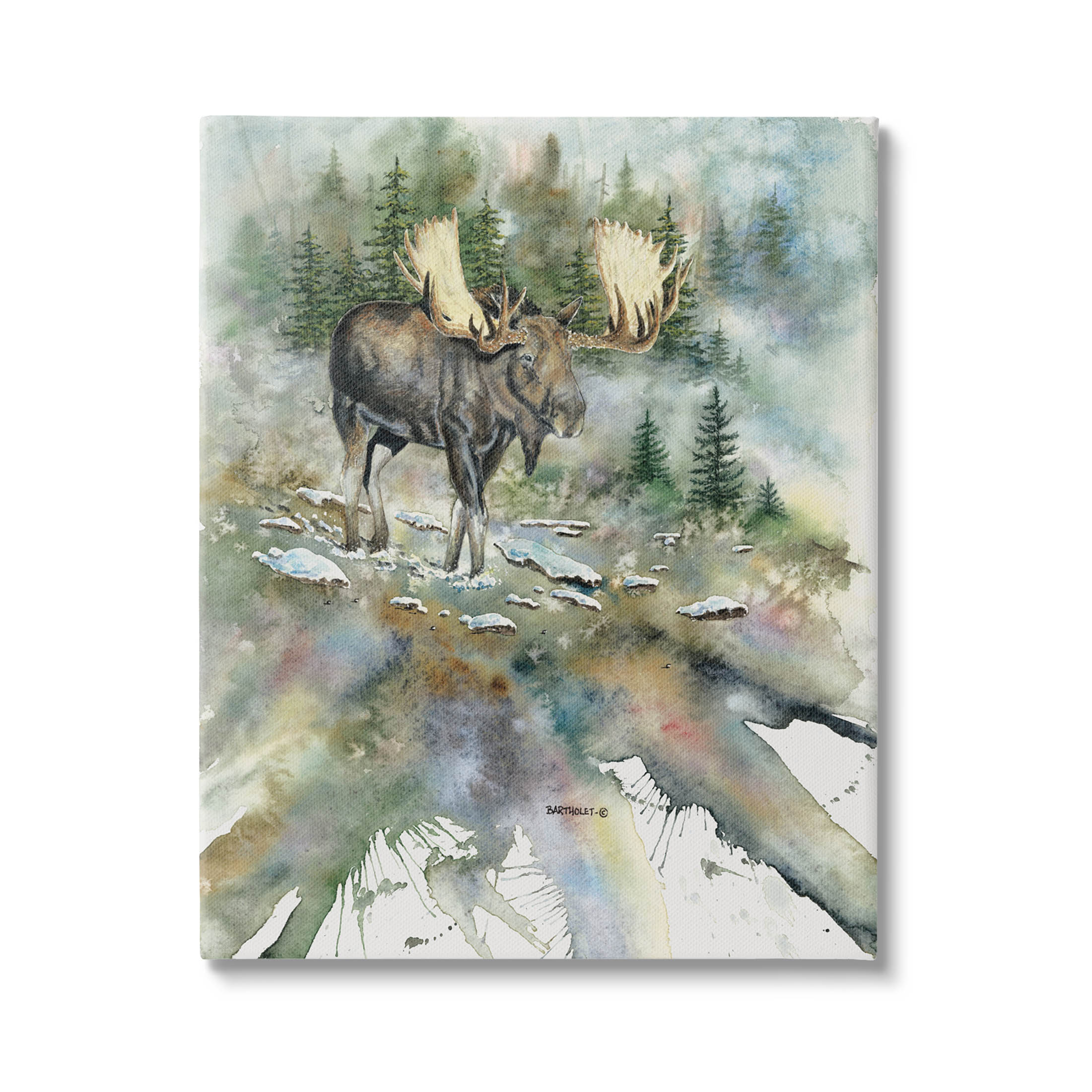 Moose Stepping Nature Wildlife Animals & Insects Graphic Art Gallery Wrapped Canvas Print Wall Art