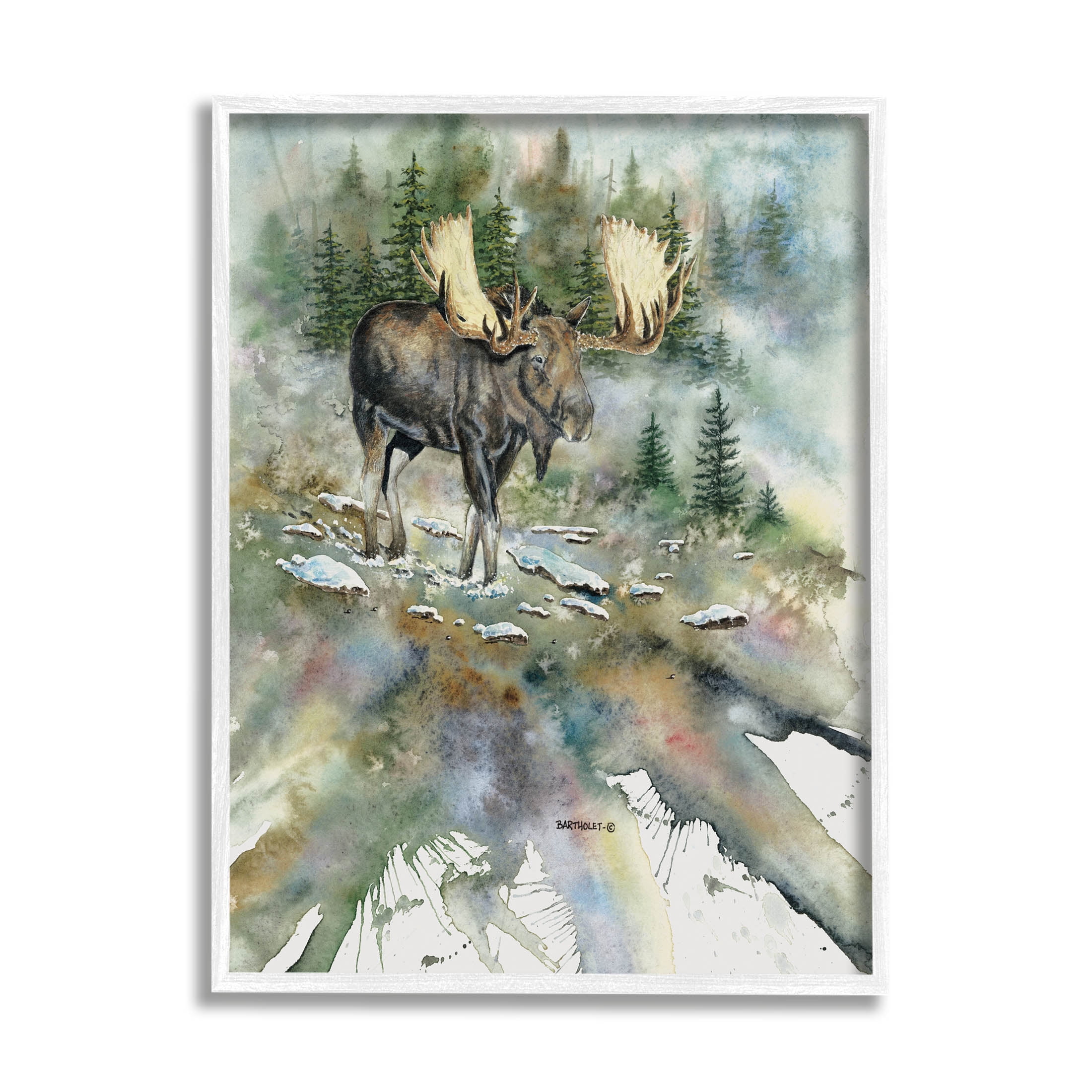 Moose Stepping Nature Wildlife Animals & Insects Graphic Art White Framed Art Print Wall Art