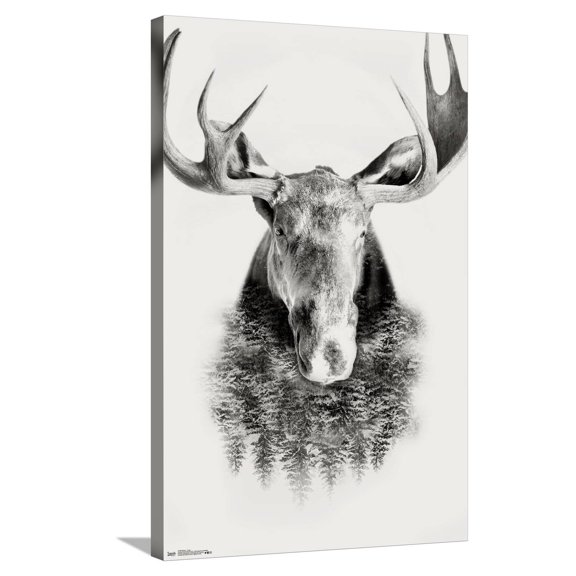 Moose - Trees Canvas Wall Poster, 22.375" x 34"