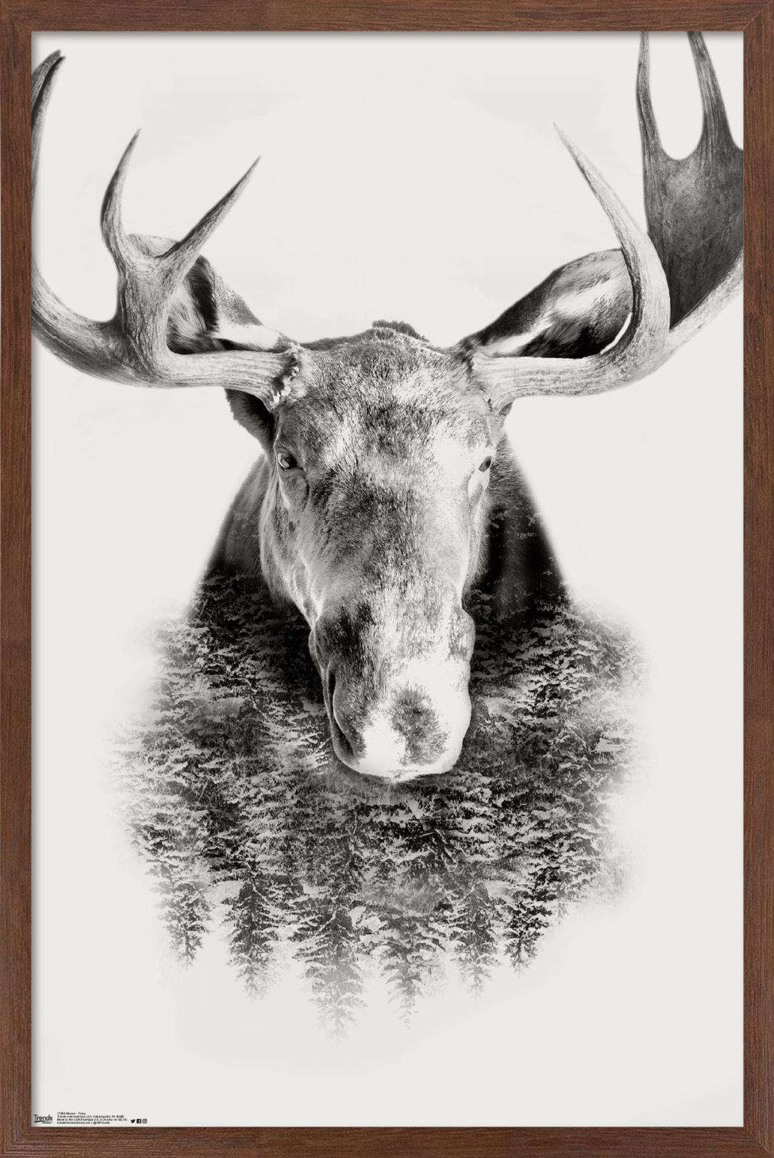 Moose - Trees Wall Poster, 14.725" x 22.375", Framed