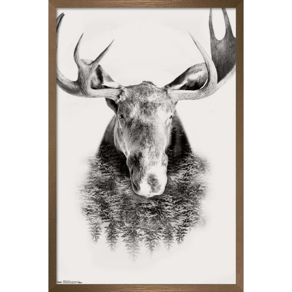 Moose - Trees Wall Poster, 14.725" x 22.375", Framed