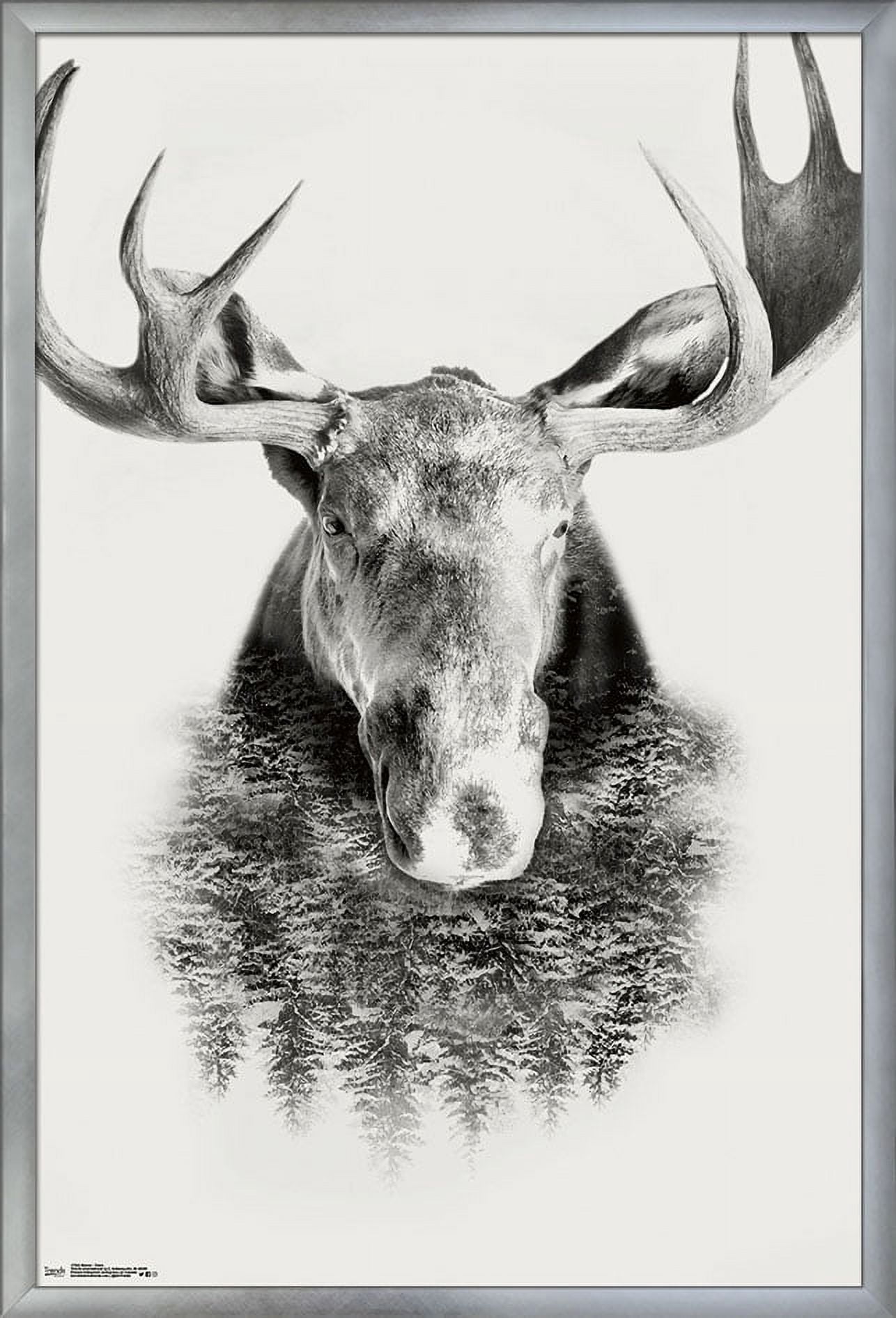 Moose - Trees Wall Poster, 22.375" x 34", Framed