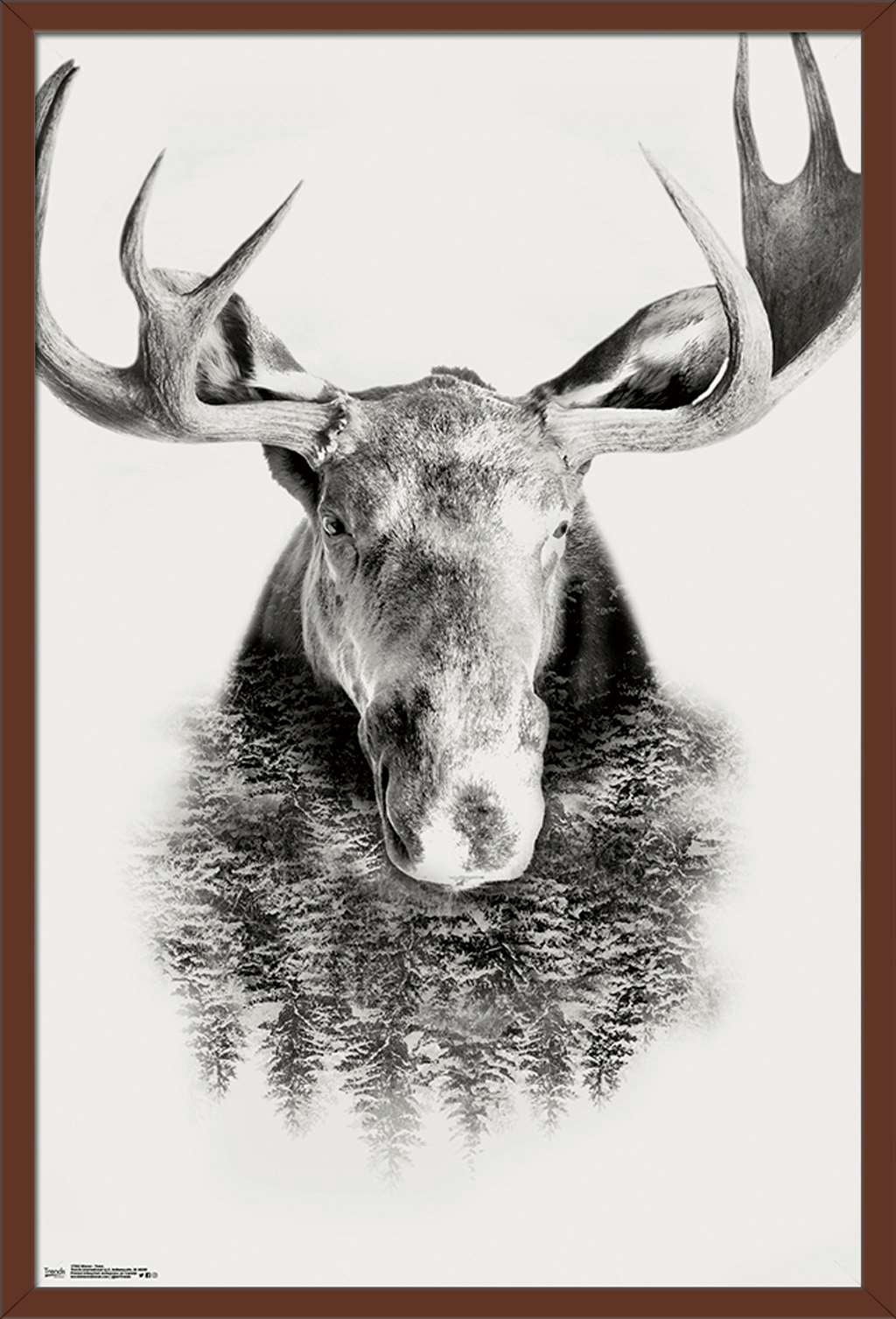 Moose - Trees Wall Poster, 22.375" x 34", Framed