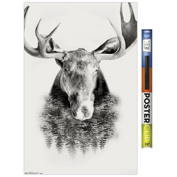 Moose - Trees Wall Poster, 22.375" x 34"