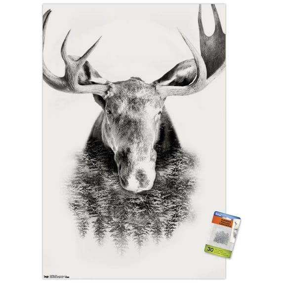 Moose - Trees Wall Poster with Push Pins, 22.375" x 34"