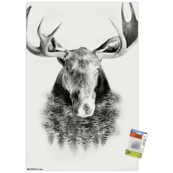 Moose - Trees Wall Poster with Push Pins, 22.375" x 34"