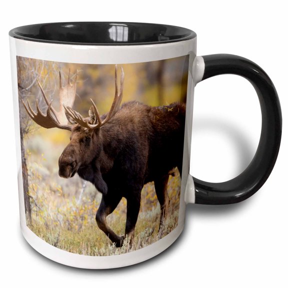 3drose, Moose Walking Trough Autumn Grassland, Grand Teton Np, Wyoming, 11oz Two-tone Black Mug