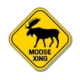 thumbnail image 1 of Moose Xing - 5" Vinyl Sticker - For Car Laptop I-Pad - Waterproof Decal, 1 of 1