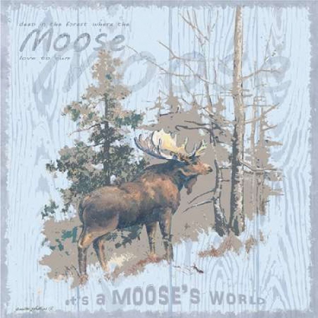 Mooses World Gray Canvas Art - Anita Phillips (24 x 24)